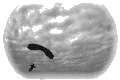Click Image to Play Video